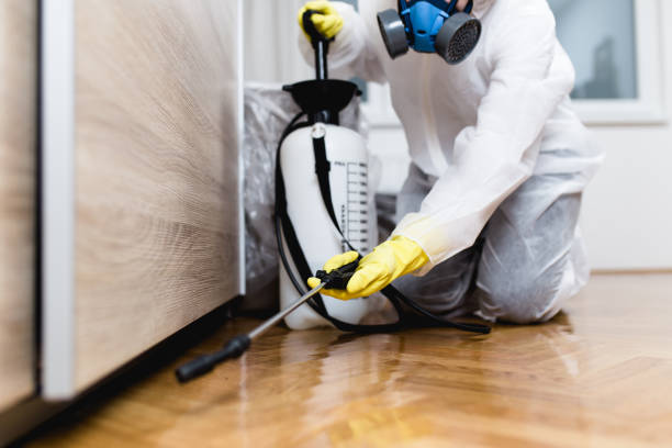 Best Pest Control Treatment  in Comanche, TX