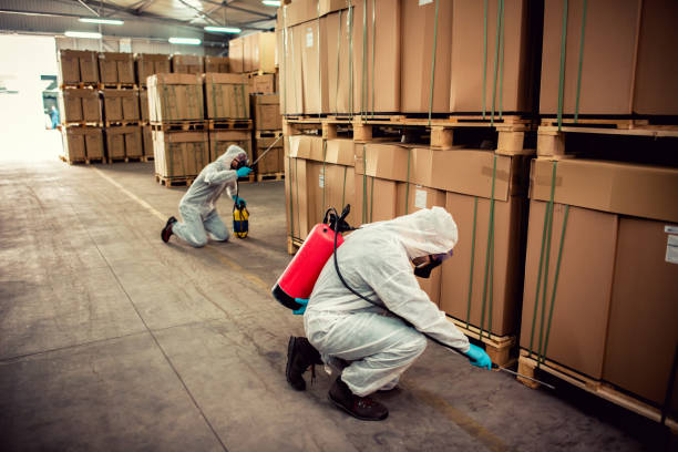 Best Cockroach Control Services  in Comanche, TX