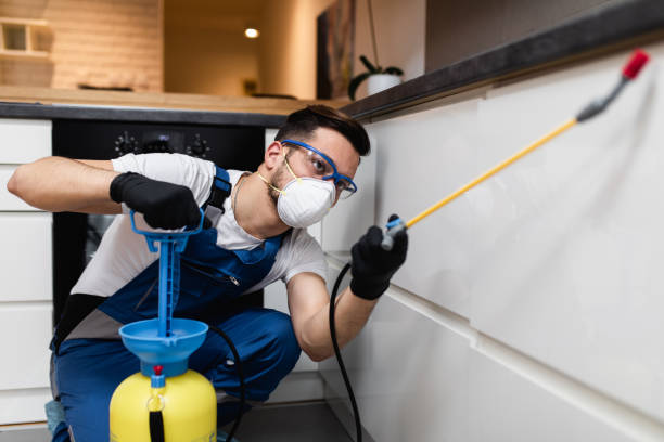 Best Best Pest Control Companies  in Comanche, TX