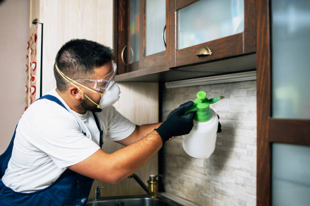 Best Wildlife Control Services  in Comanche, TX