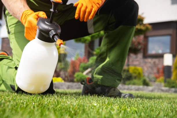 Best Affordable Pest Control Services  in Comanche, TX