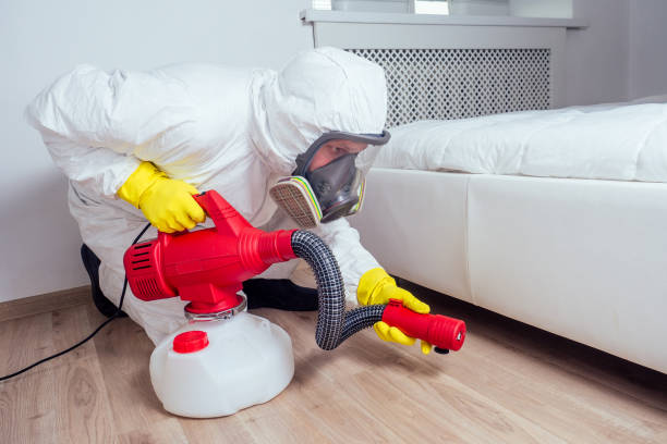 Best Local Pest Control Services  in Comanche, TX