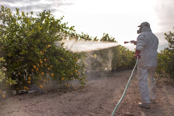 Best Commercial Pest Control Services  in Comanche, TX
