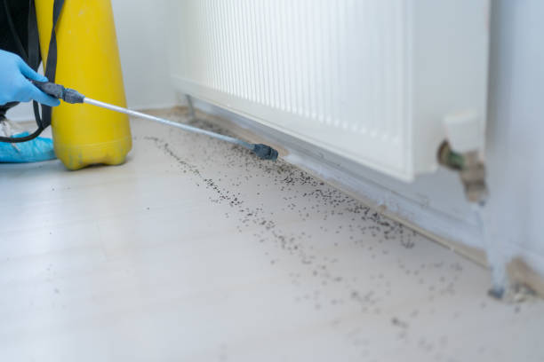 Best Best Pest Control Companies  in Comanche, TX