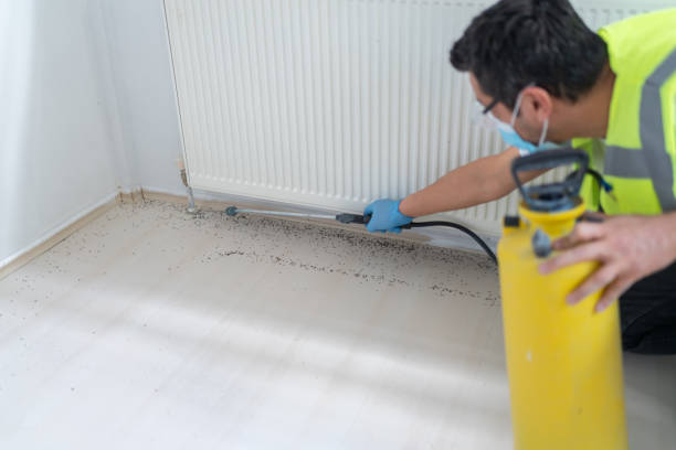 Best Residential Pest Control  in Comanche, TX