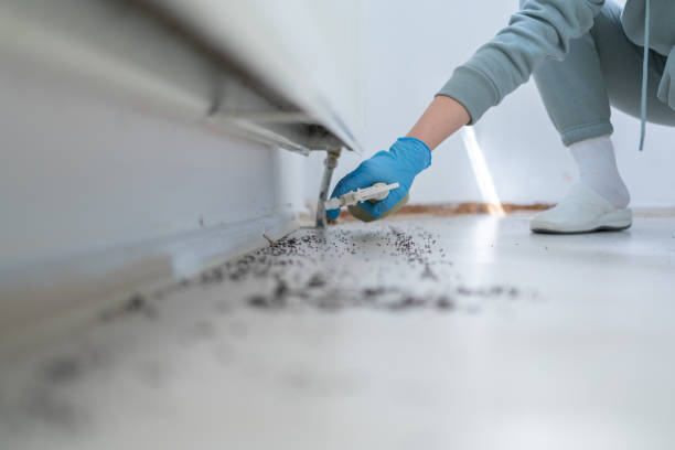 Pest Prevention Services in Comanche, TX