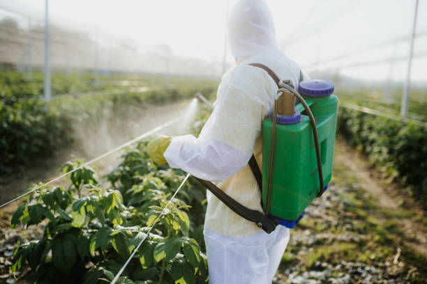 Best Emergency Pest Control  in Comanche, TX
